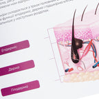 ZOLA Eyebrow Magazine Basic Course in Collaboration with Daryna Maslovskaya