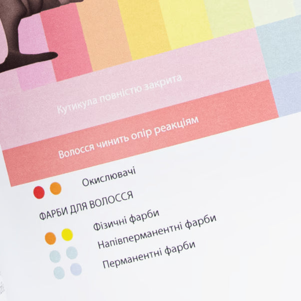 ZOLA Eyebrow Magazine Basic Course in Collaboration with Daryna Maslovskaya